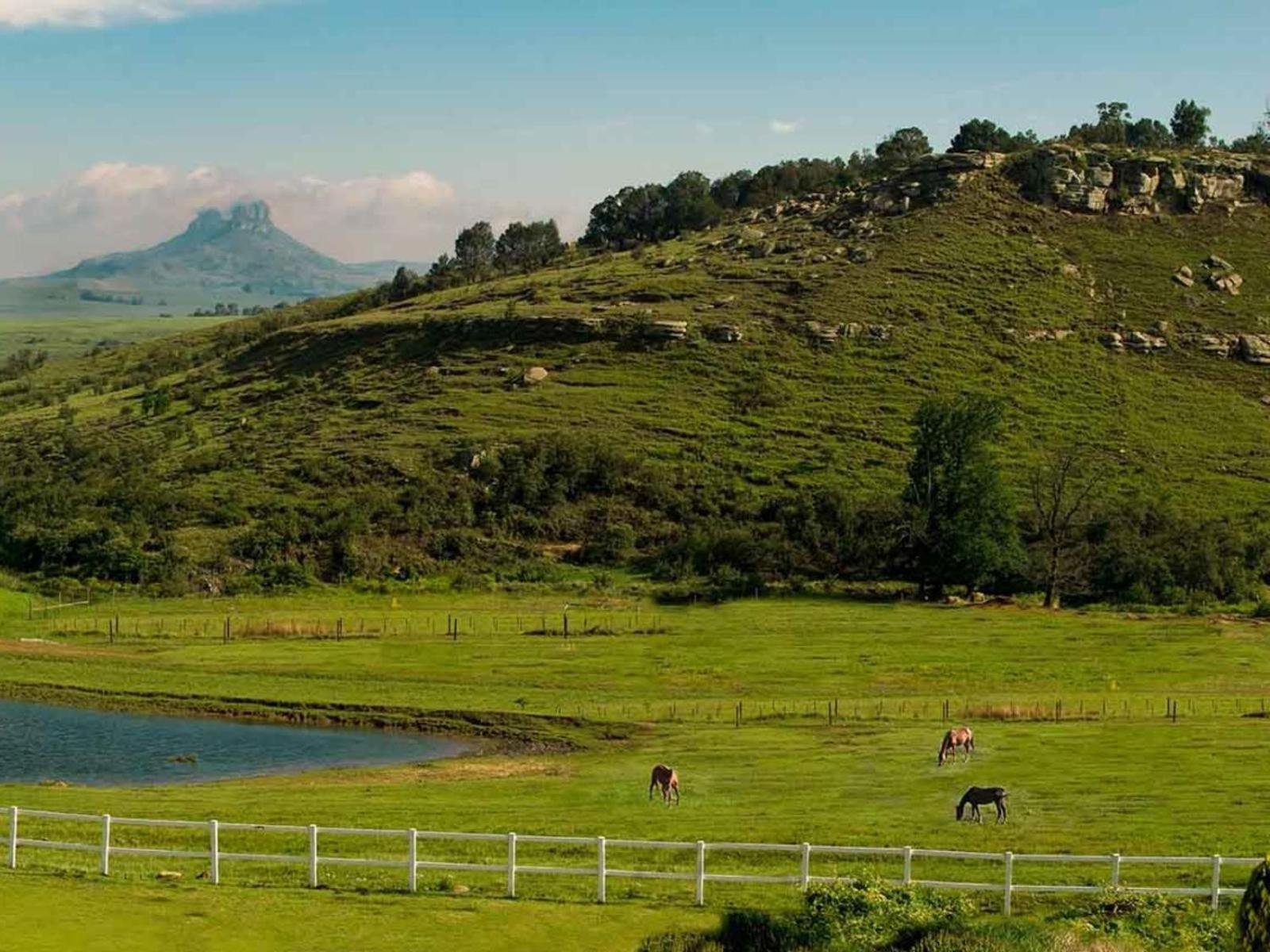 Oaklands Farm Stay Van Reenen Eksteriør billede