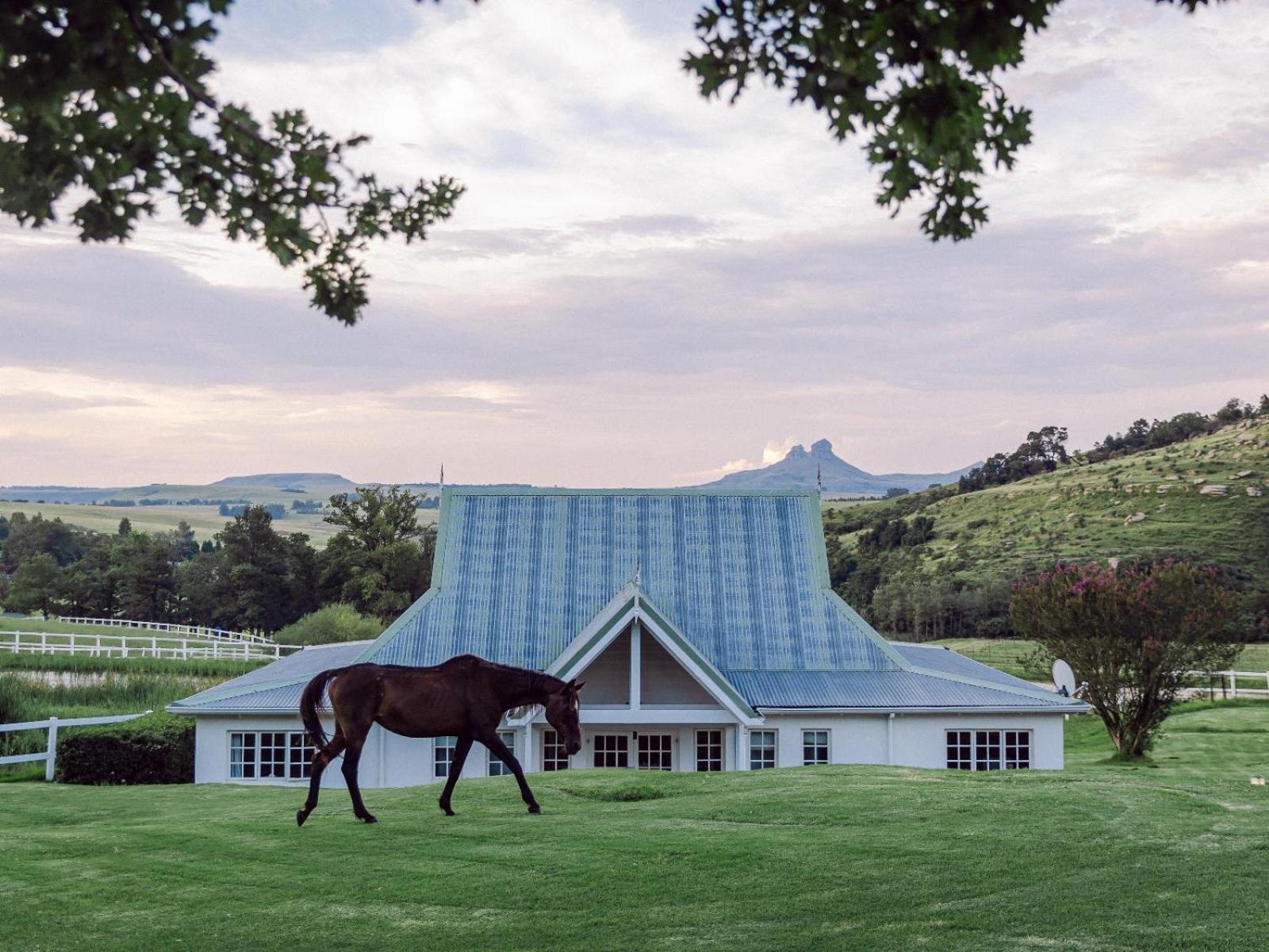 Oaklands Farm Stay Van Reenen Eksteriør billede